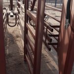pasillos de manejo de ganado stationary alleyway